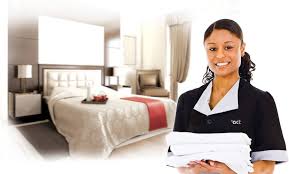 Professional home cleaning training